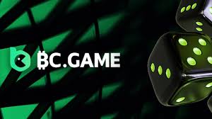 BC.Game Registration Process A Comprehensive Guide -692821089
