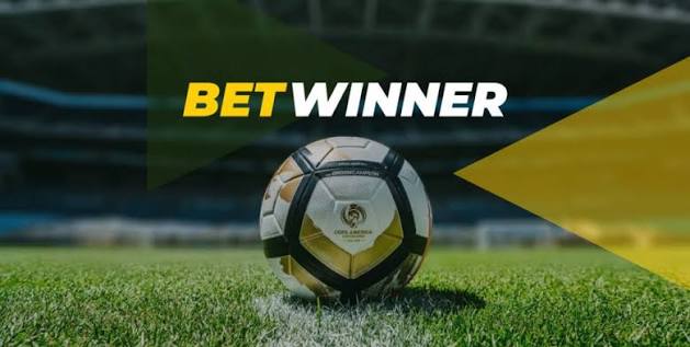 Discover BetWinner Your Premier Online Betting Destination
