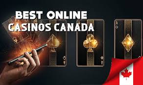 Discover the Best Online Casinos A Comprehensive Guide Discover the Best Online Casinos A Comprehensive Guide