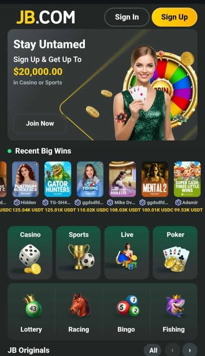 Exploring JB Casino India A Comprehensive Guide