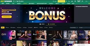 Exploring the BetWinner Gambling Platform