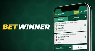 Exploring the BetWinner Gambling Platform