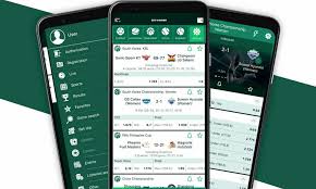 Exploring the BetWinner Gambling Platform